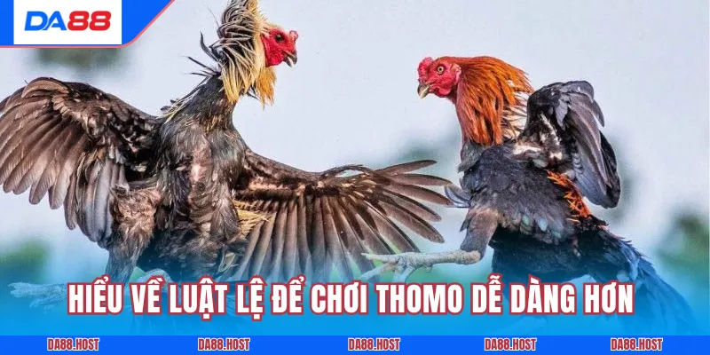 Hiểu về luật lệ để chơi Thomo dễ dàng hơn