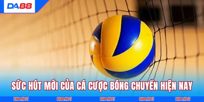Sức hút mới của cá cược bóng chuyền hiện nay